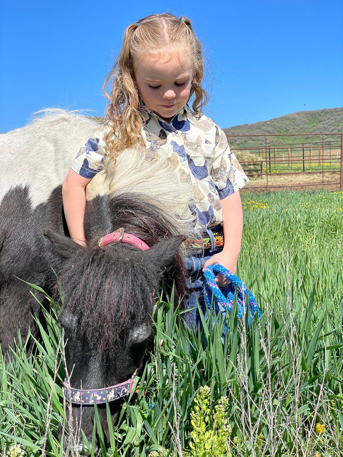 Young girl with pony
