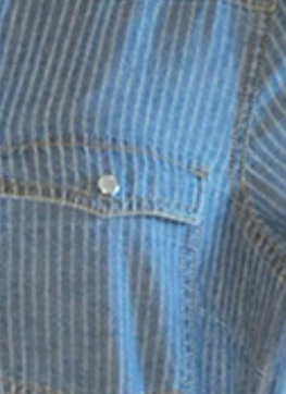 The Elsie Pearl Snap Denim Shirt