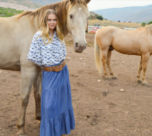 The Horses on Parade