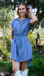The Annie Denim Stripe