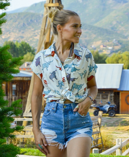 The Arty Longhorn 2.0