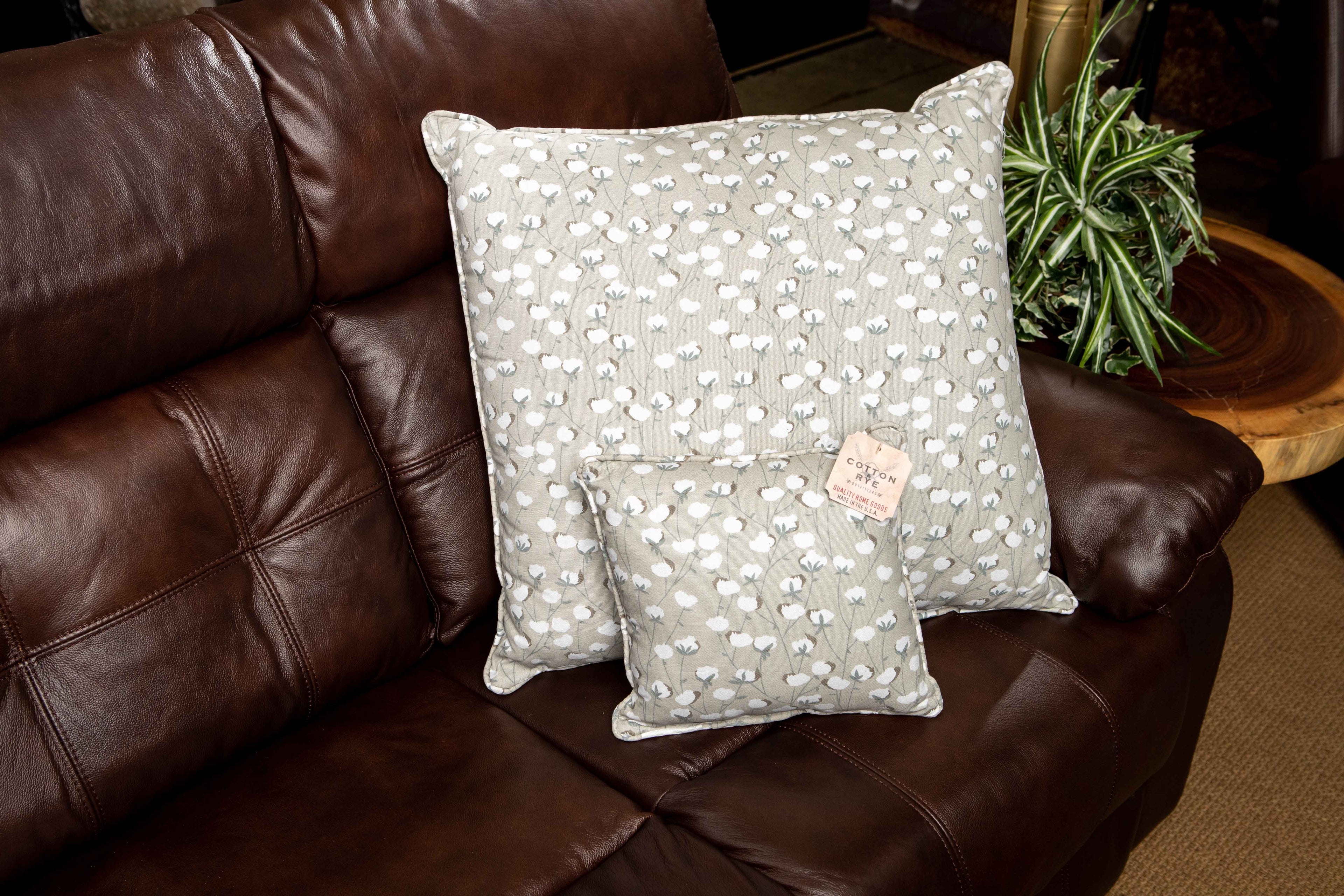 Sandhill Cotton Field